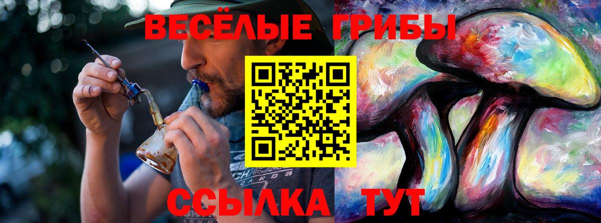 Псилоцибиновые грибы MAGIC MUSHROOMS  Вход с VPN  Лянтор 