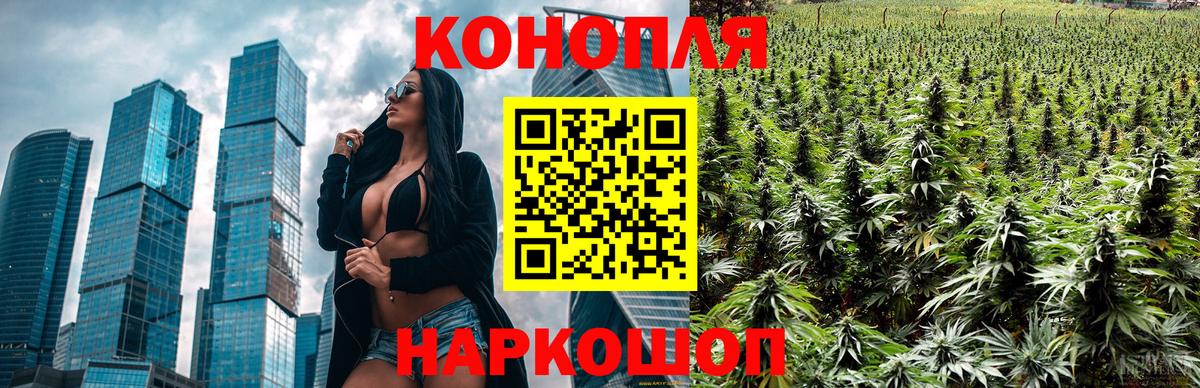 Каннабис OG Kush Лянтор